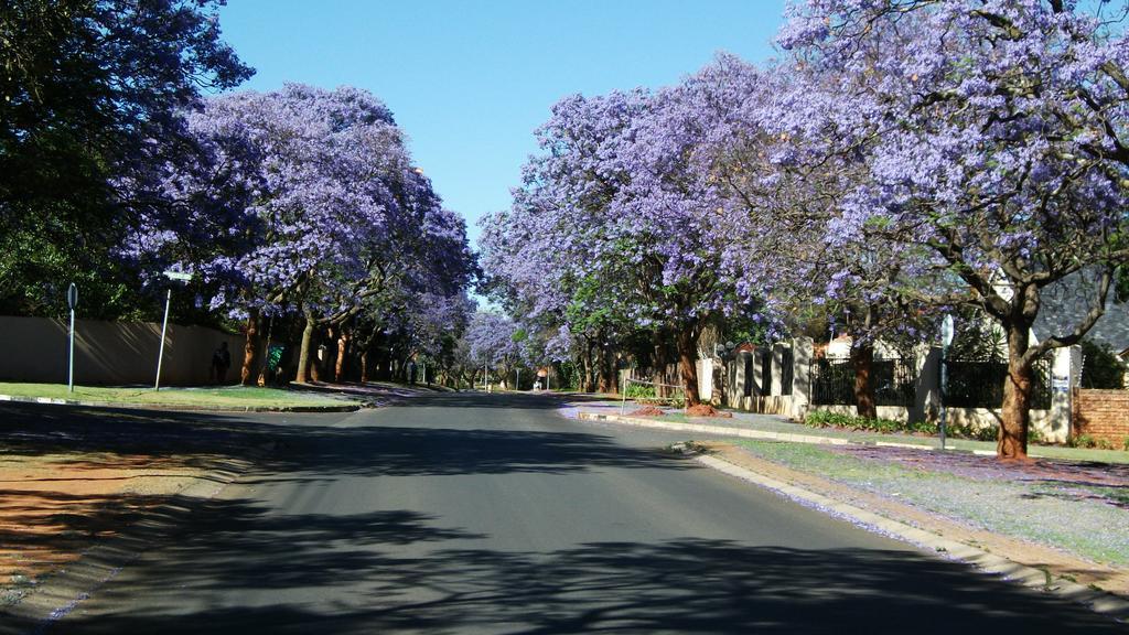 Northcliff Bed And Breakfast Randburg Екстериор снимка